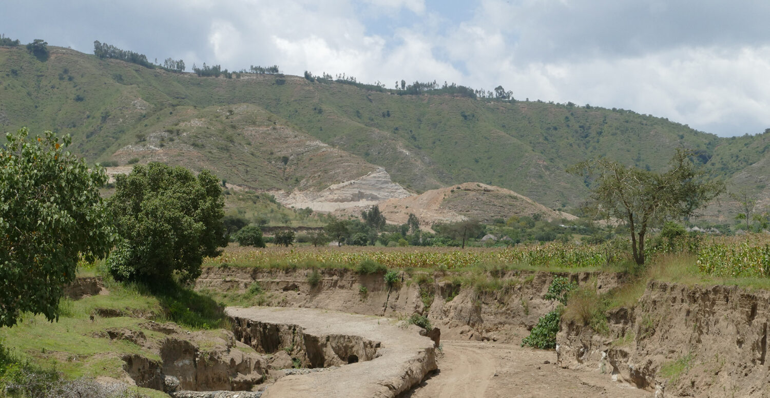 Aster Mahlet Ethiopië Sponsor kind