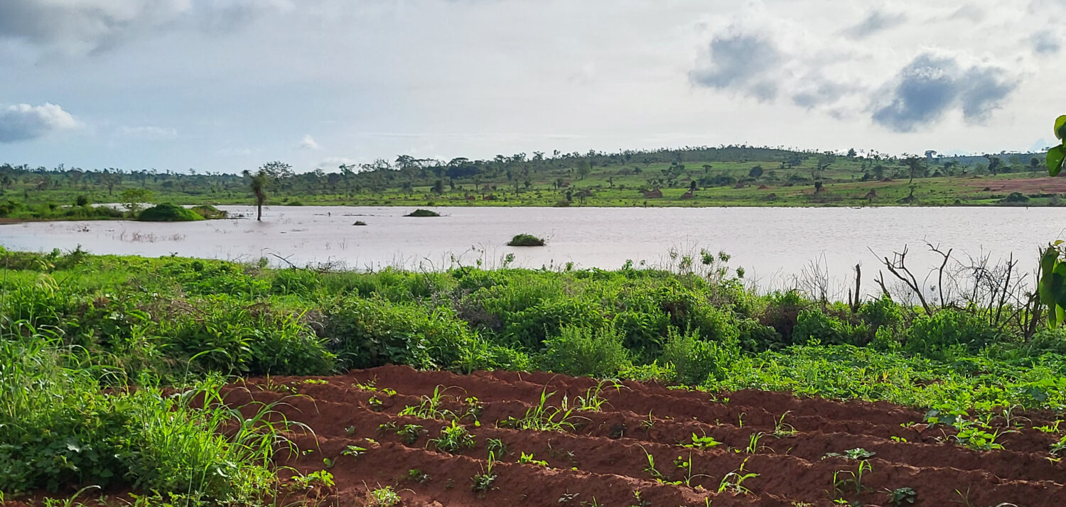 Arganevijver in Ethiopië