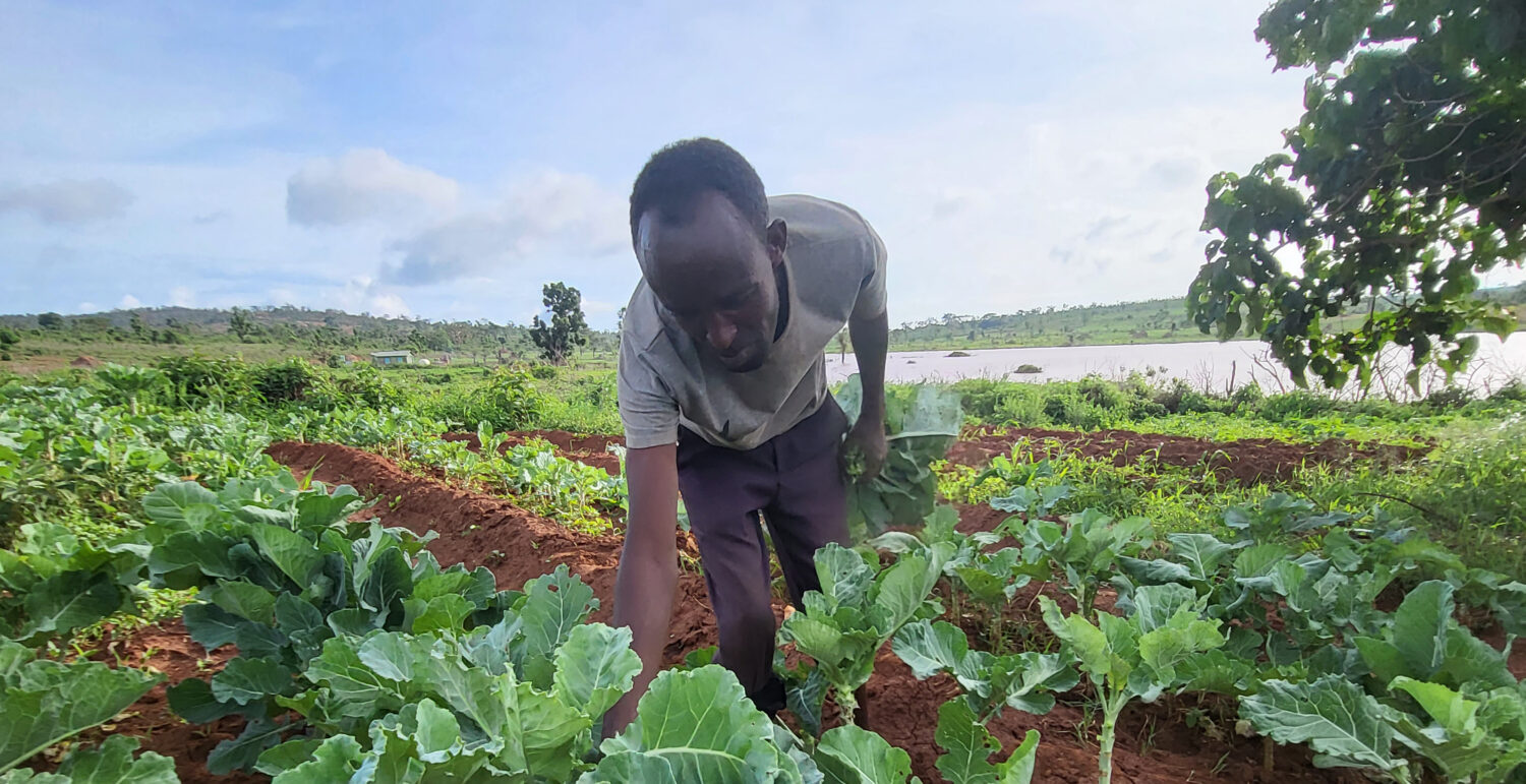 Hussen uit Ethiopië