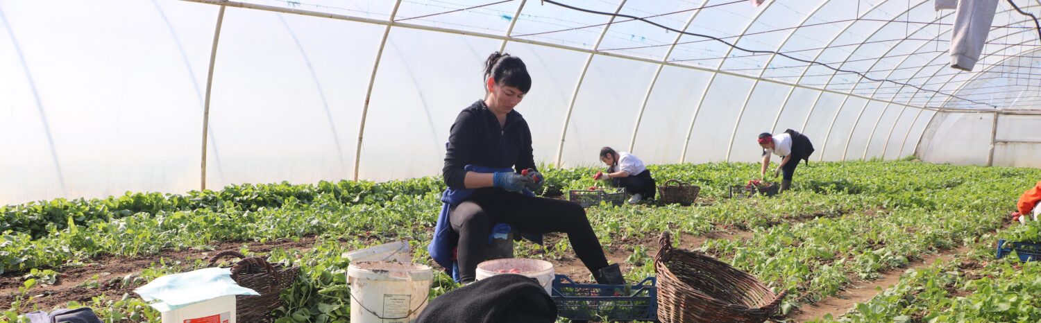 Renata uit Oekraïne