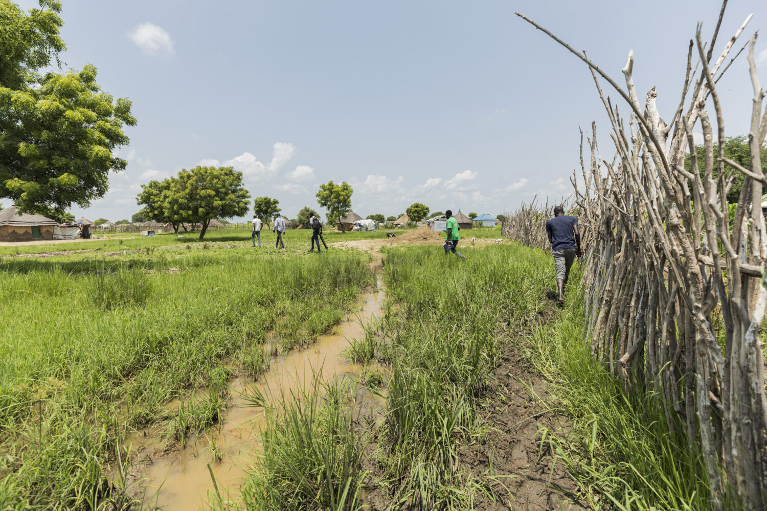 Groepsbezoek aan een Afrikaans dorp met traditionele hutten, groene velden en een hek van takken onder een heldere blauwe lucht.