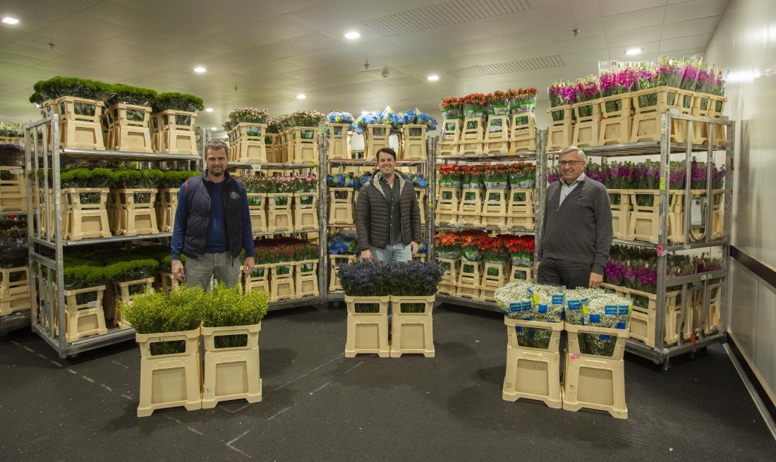 Ondernemer Hogewoning