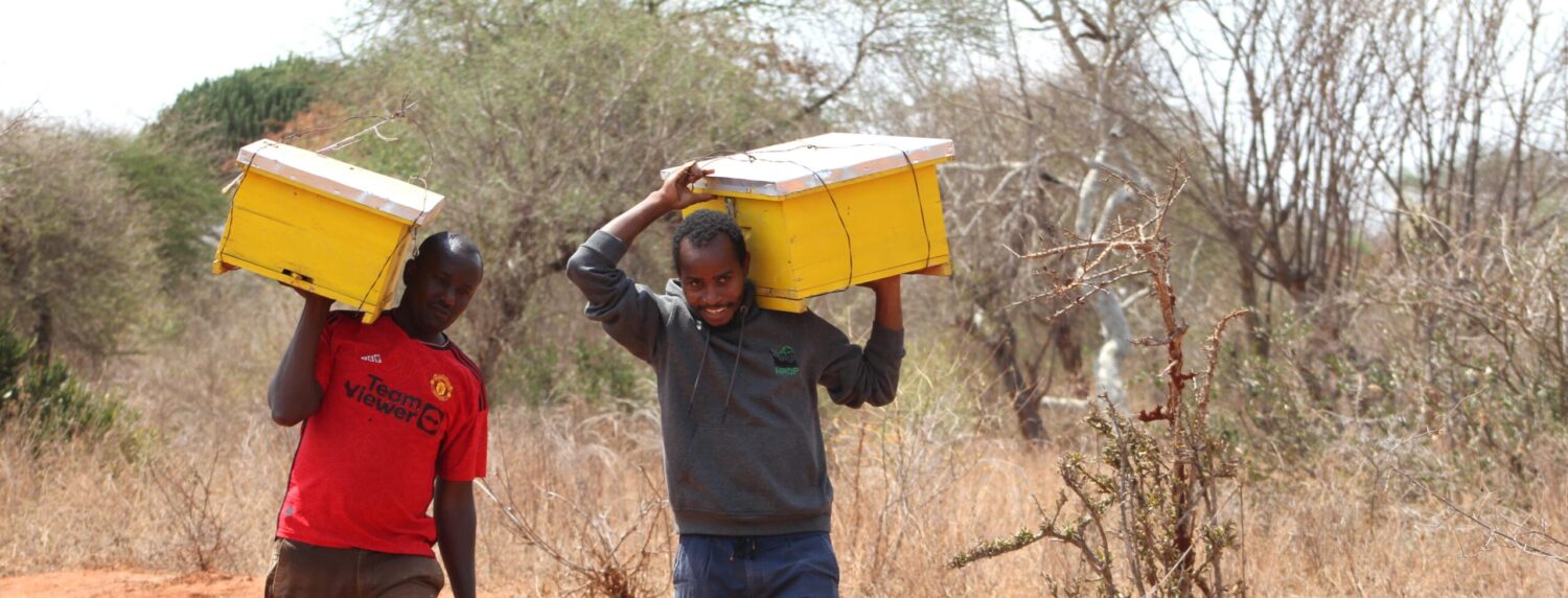 Mannen lopen met gele crates op hun hoofd door een droog landschap in Kenia.