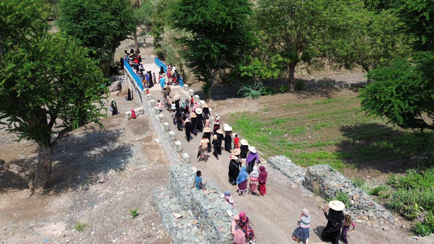 Mensen lopen over een klein bruggetje door een groene omgeving met bomen en akkers.