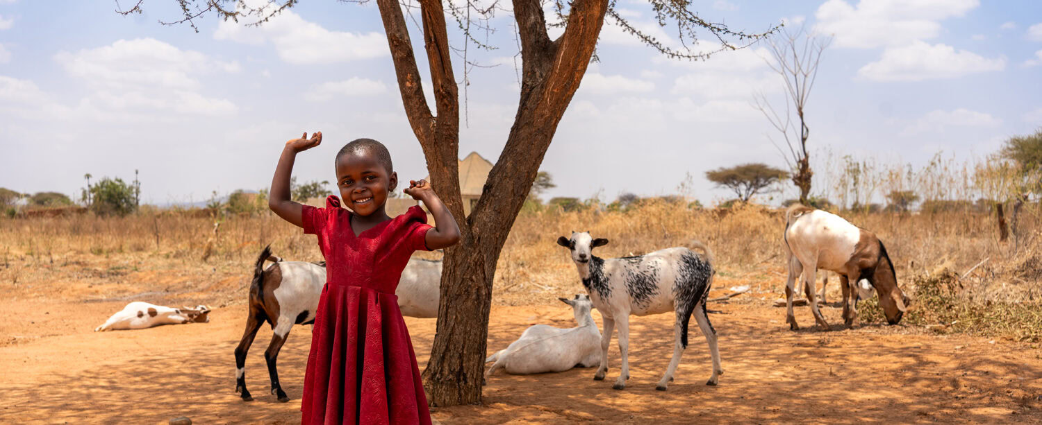 Column Vrede Tanzania