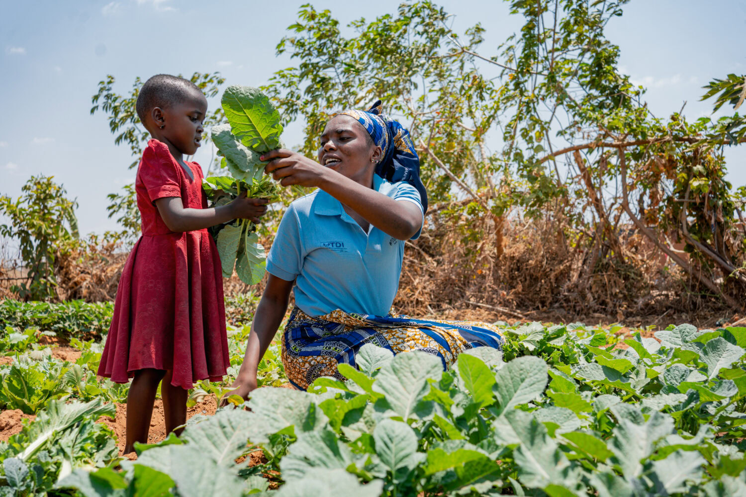 Gezin in een moestuin met  groenten, terwijl een vrouw een jonge meid helpt met het oogsten in een zonnige buitenomgeving.