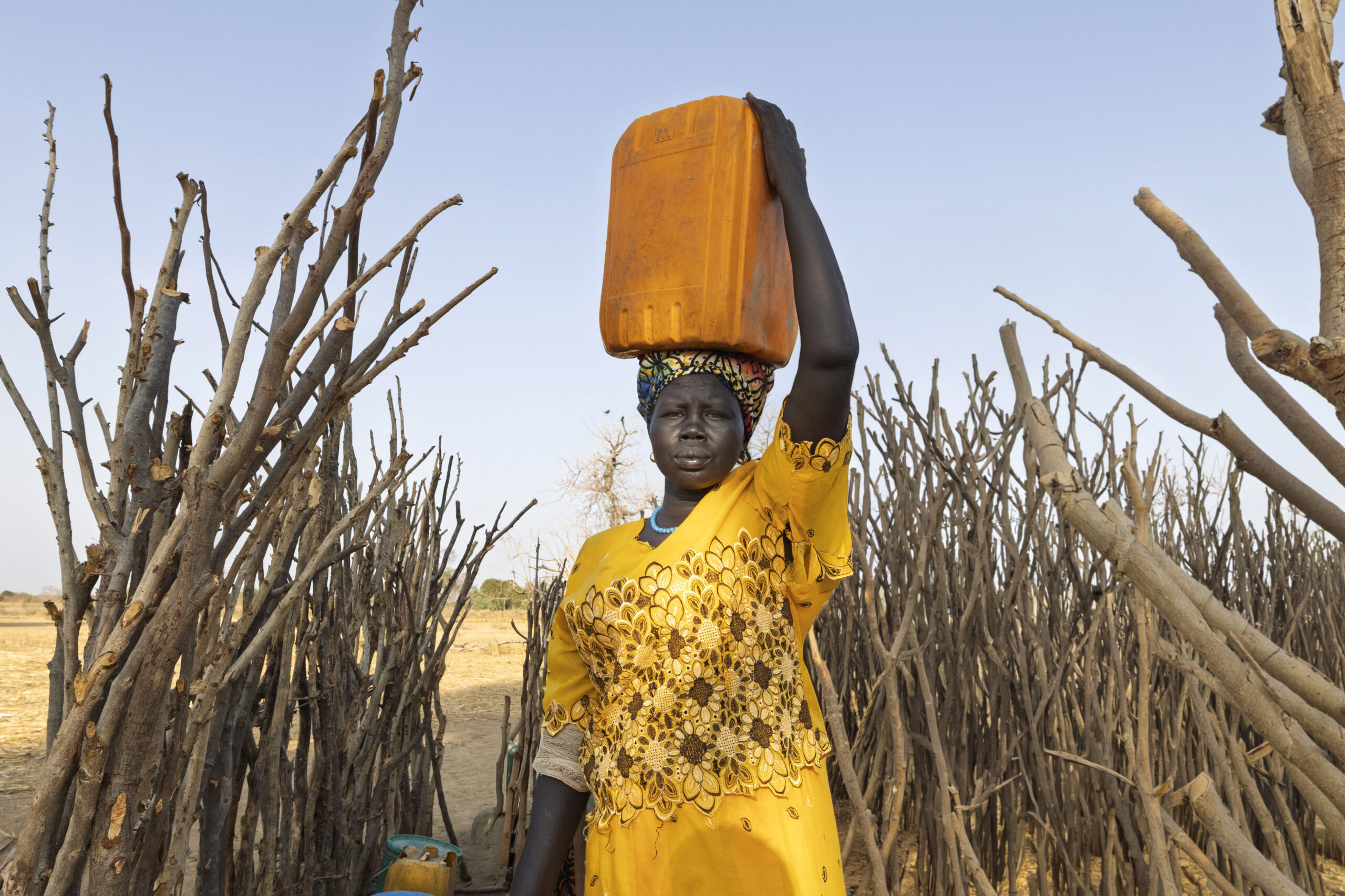 Een vrouw in een gele jurk draagt een watercontainer op haar hoofd tussen dorre bomen in een droog landschap, symboliseert water- en voedselvoorziening in ontwikkelingslanden.